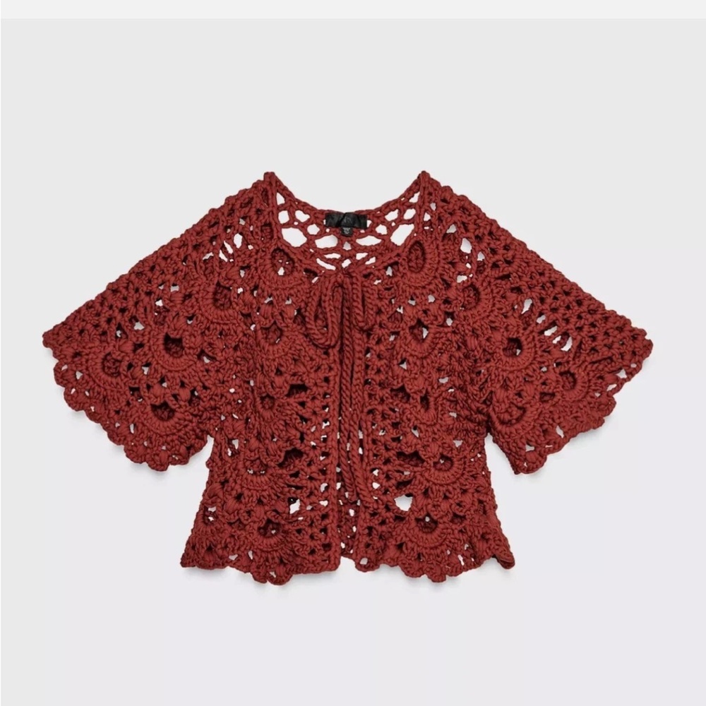 Zara Crochet Knit Sweater in Deep Red